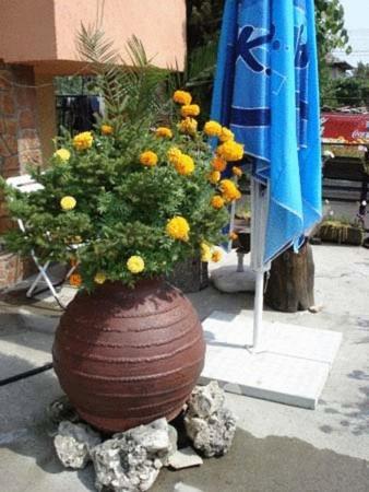 Hotel Mavrikova Kushta Bansko Esterno foto
